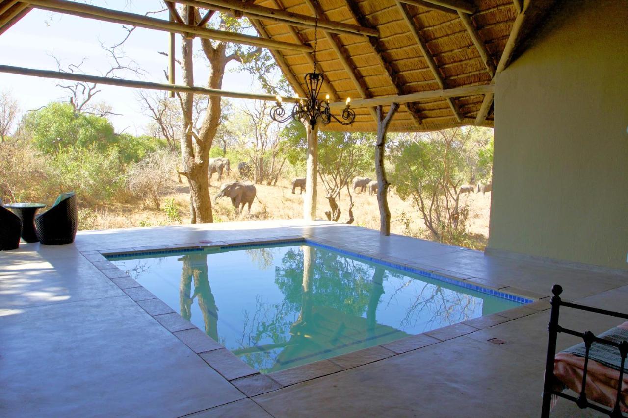 Kambaku River Sands Reserva Timbavati Exterior foto