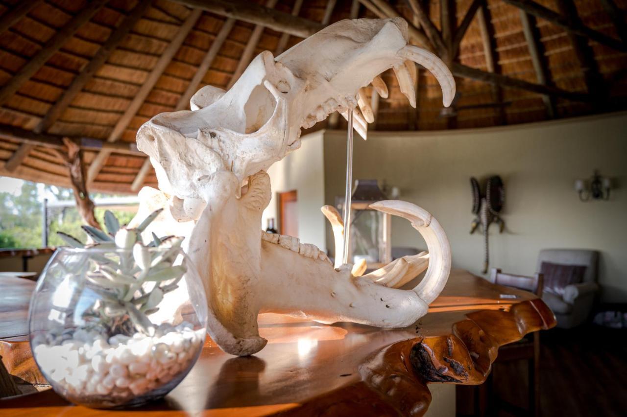 Kambaku River Sands Reserva Timbavati Exterior foto