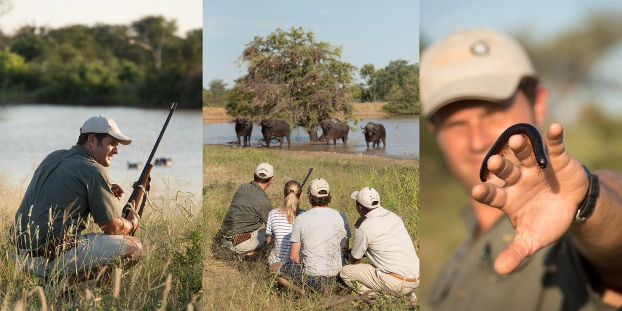 Kambaku River Sands Reserva Timbavati Exterior foto